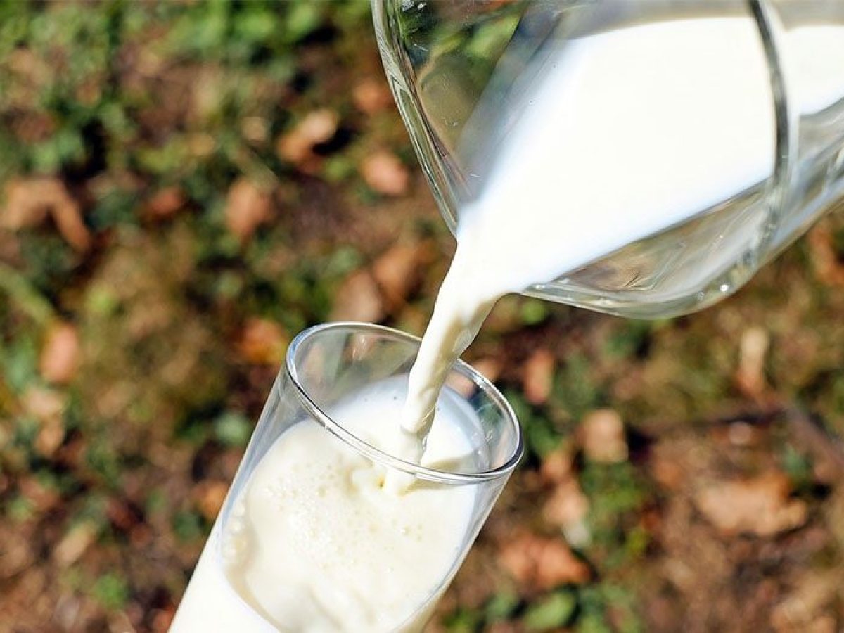 Πάρτι εισαγωγών στο γάλα με τζίρους 30 εκατ. ευρώ και άνω ενώ οι θανατώσεις κοπαδιών συνεχίζονται