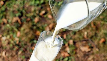Πάρτι εισαγωγών στο γάλα με τζίρους 30 εκατ. ευρώ και άνω ενώ οι θανατώσεις κοπαδιών συνεχίζονται