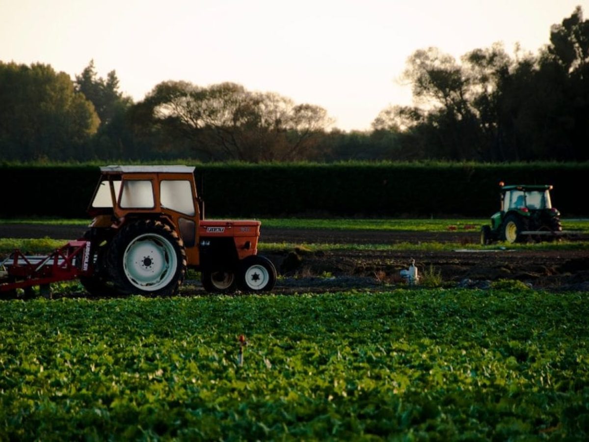 Αγροτικές επιδοτήσεις 2026