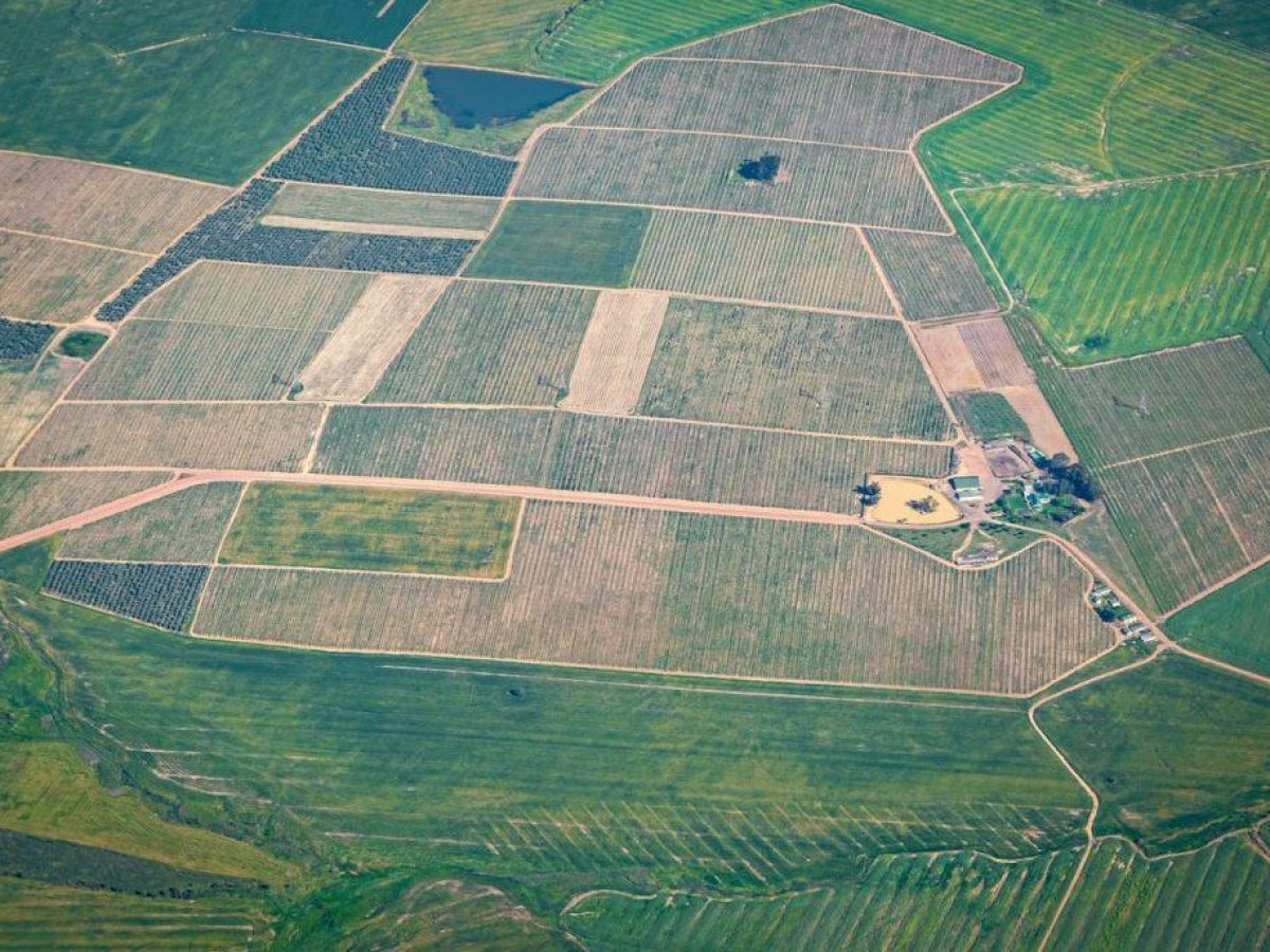 Ποια ημέρα πληρώνονται οι κομμένοι από την 1η πληρωμή του Μέτρου 23