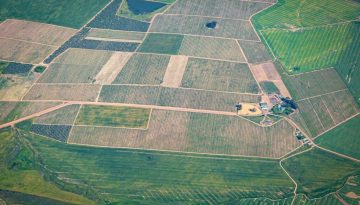 Ποια ημέρα πληρώνονται οι κομμένοι από την 1η πληρωμή του Μέτρου 23