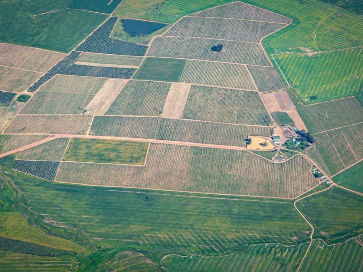 Πιστώθηκαν χρήματα και για το Μέτρο 23, ενστάσεις για αγροτεμάχια που είναι εκτός