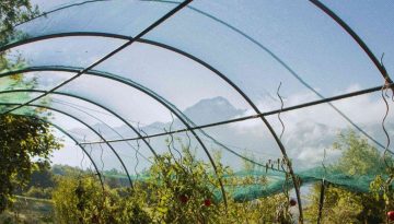 Πώς να τοποθετήσετε σωστά το δίχτυ σκίασης στο θερμοκήπιο