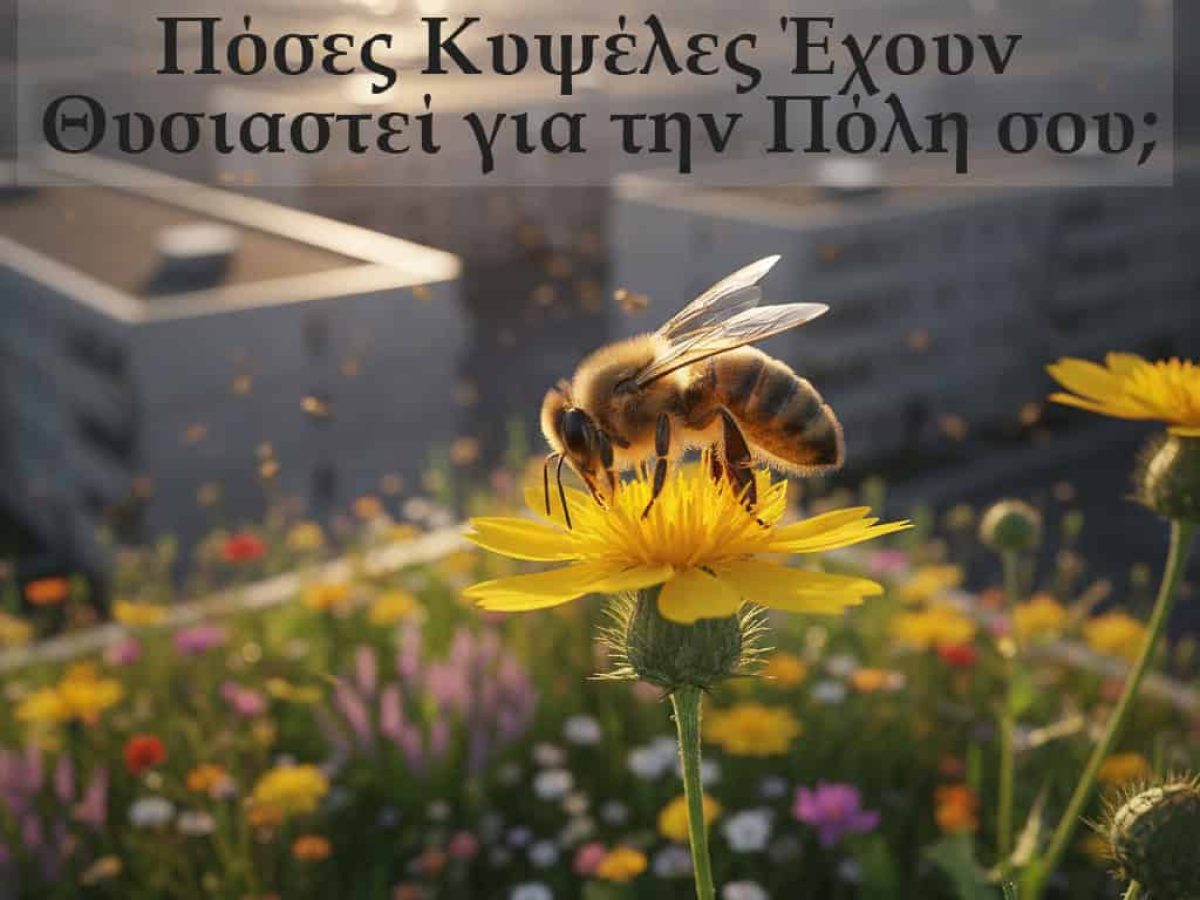 Πόσες κυψέλες θυσιάστηκαν για την πόλη σου;