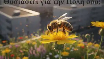 &Pi;ό&sigma;&epsilon;&sigmaf; &kappa;&upsilon;&psi;έ&lambda;&epsilon;&sigmaf; &theta;&upsilon;&sigma;&iota;ά&sigma;&tau;&eta;&kappa;&alpha;&nu; &gamma;&iota;&alpha; &tau;&eta;&nu; &pi;ό&lambda;&eta; &sigma;&omicron;&upsilon;;