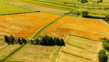 Πότε πάνε ταμείο οι παραγωγοί για την εξισωτική αποζημίωση