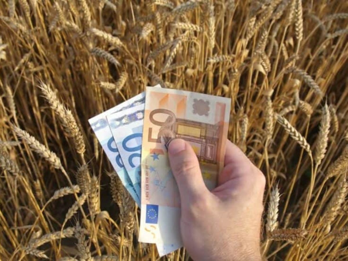 Σε εφαρμογή το Ταμείο Αγροτικής Επιχειρηματικότητας – Χρηματοδοτικά εργαλεία 365 εκατ. ευρώ για τον αγροδιατροφικό τομέα