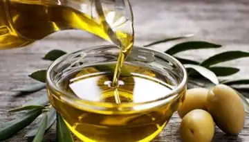 &Sigma;&eta;&mu;ά&delta;&iota;&alpha; &alpha;&nu;ά&kappa;&alpha;&mu;&psi;&eta;&sigmaf; &gamma;&iota;&alpha; &tau;&omicron; &epsilon;&lambda;&alpha;&iota;ό&lambda;&alpha;&delta;&omicron; &ndash; &Omicron;&iota; &pi;&rho;&omicron;&omicron;&pi;&tau;&iota;&kappa;έ&sigmaf; &gamma;&iota;&alpha; &tau;&eta;&nu; &epsilon;&pi;ό&mu;&epsilon;&nu;&eta; &delta;&epsilon;&kappa;&alpha;&epsilon;&tau;ί&alpha;