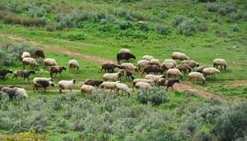 Σύσκεψη αγροτών και κτηνοτρόφων στη Λεπενού με πρωτοβουλία της ΟΑΣ Αιτωλοακαρνανίας