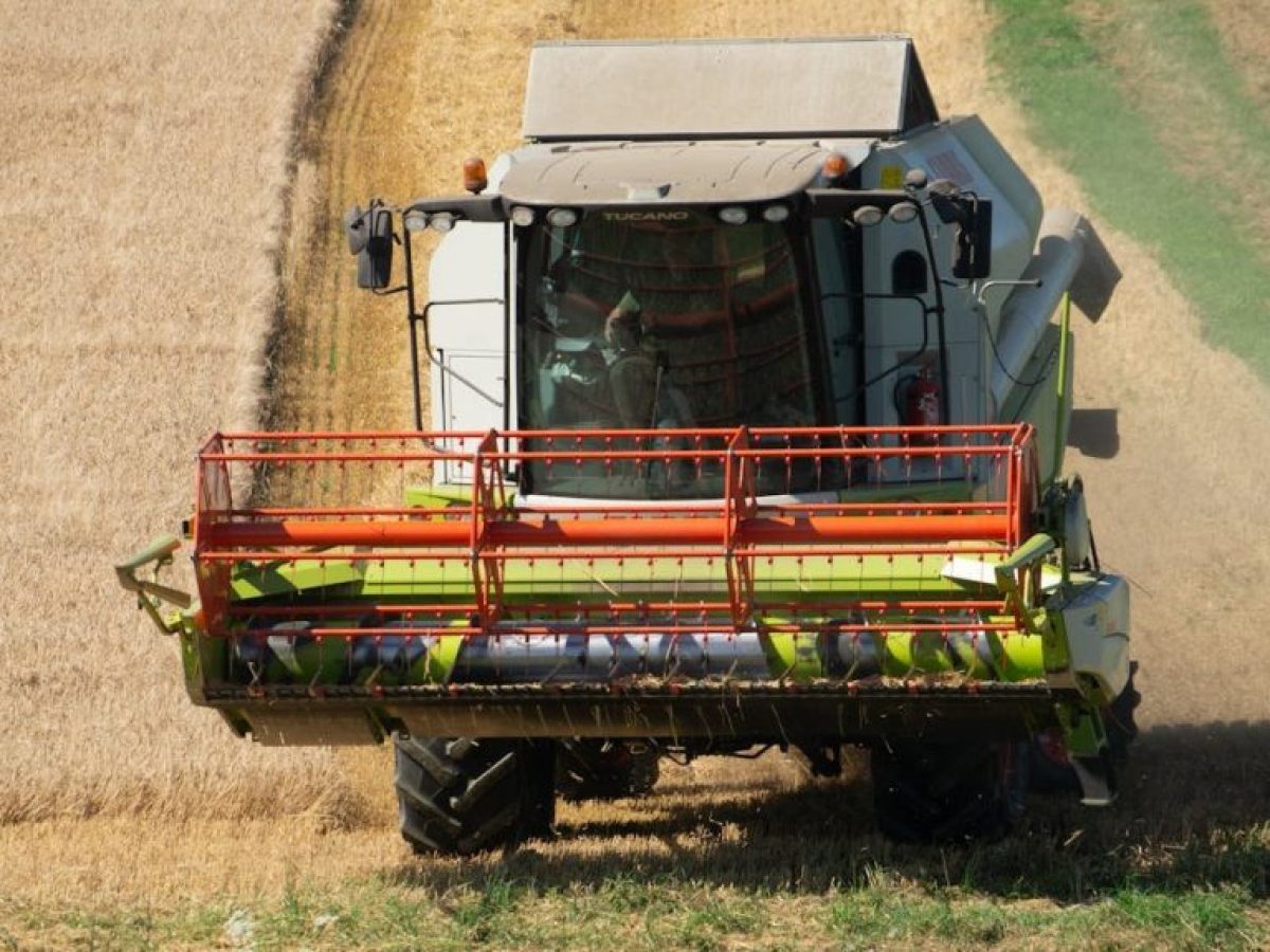 Σιτηρά: Σαφώς πιο περιορισμένα τα ευρωπαϊκά σε σχέση με τα παγκόσμια αποθέματα