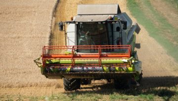Σιτηρά: Σαφώς πιο περιορισμένα τα ευρωπαϊκά σε σχέση με τα παγκόσμια αποθέματα