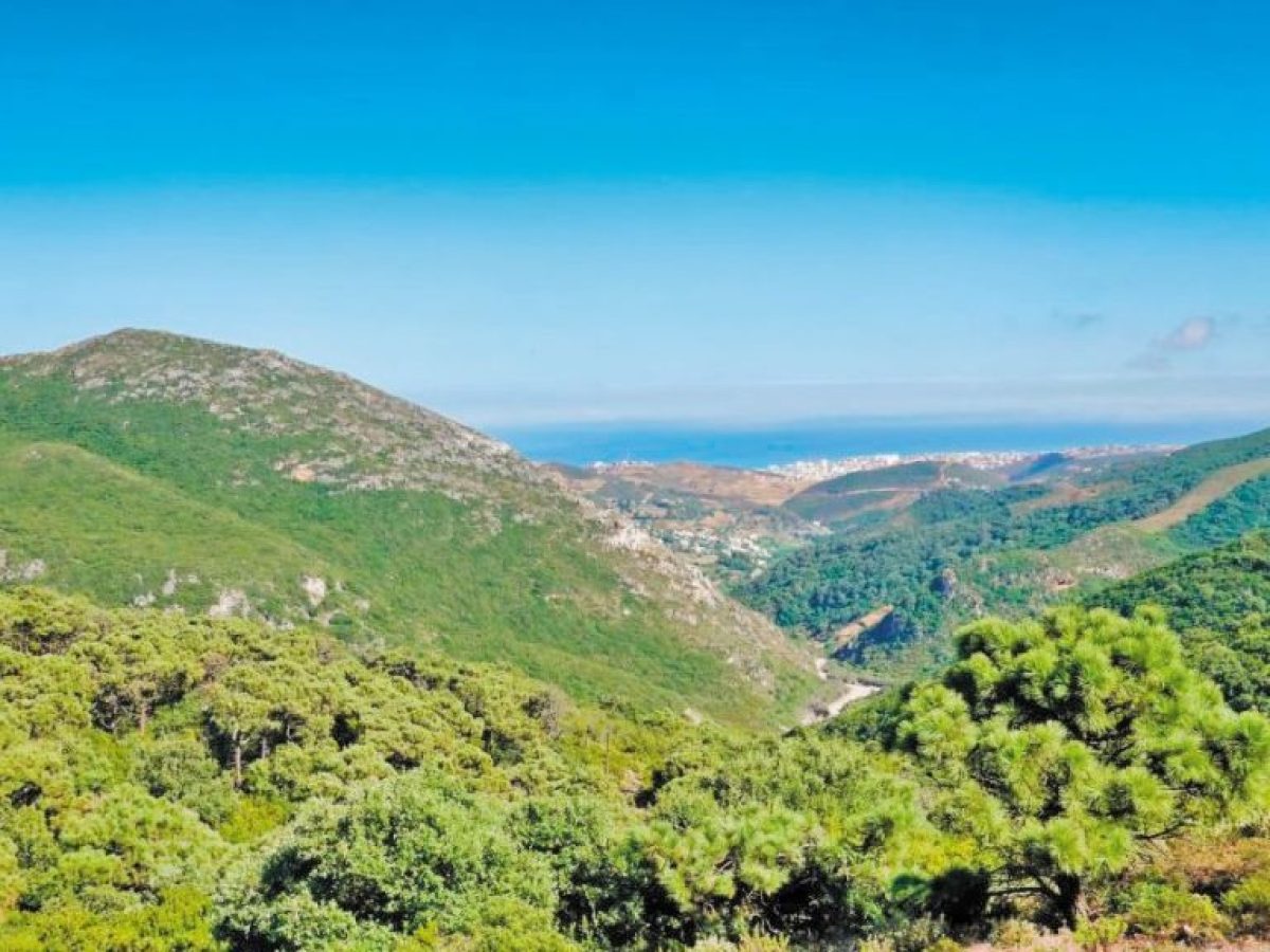 Στα «Απάτητα Βουνά» ο Πάρνωνας και η Στρογγούλα