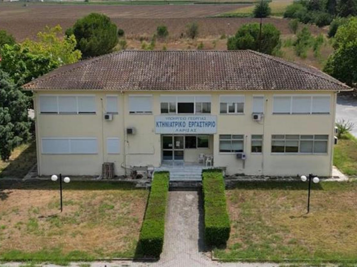 Στη Λάρισα το 90% των ελέγχων PCR για την ευλογιά αιγοπροβάτων όλης της χώρας