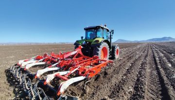 Στην επιλέξιμη έκταση  οδηγούνται οι επιδοτήσεις,  οι προσαυξήσεις στο τσεκ