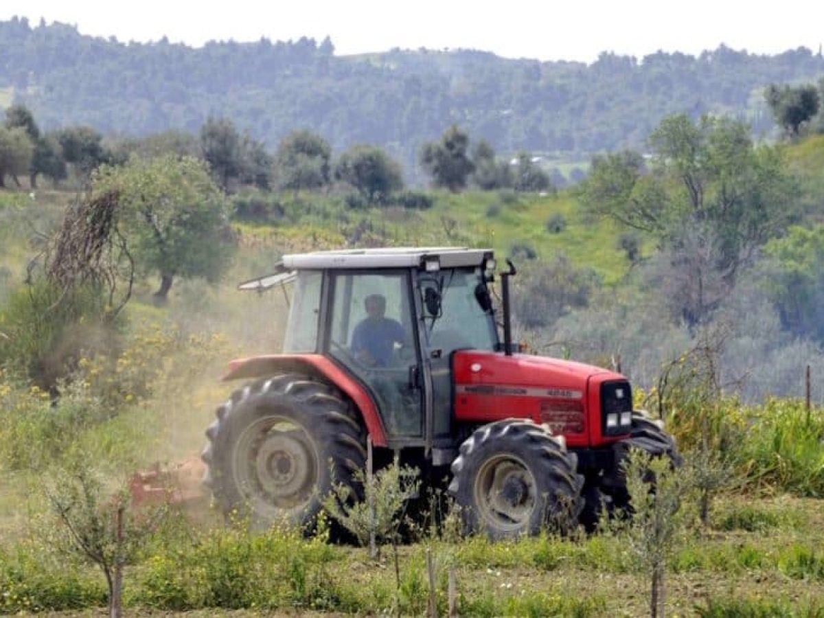 Στον Εισαγγελέα οι πρώτες 50 μαζικές διαγραφές αγροτεμαχίων στο Ε9 που εντοπίστηκαν από την ΑΑΔΕ