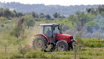 Στον Εισαγγελέα οι πρώτες 50 μαζικές διαγραφές αγροτεμαχίων στο Ε9 που εντοπίστηκαν από την ΑΑΔΕ