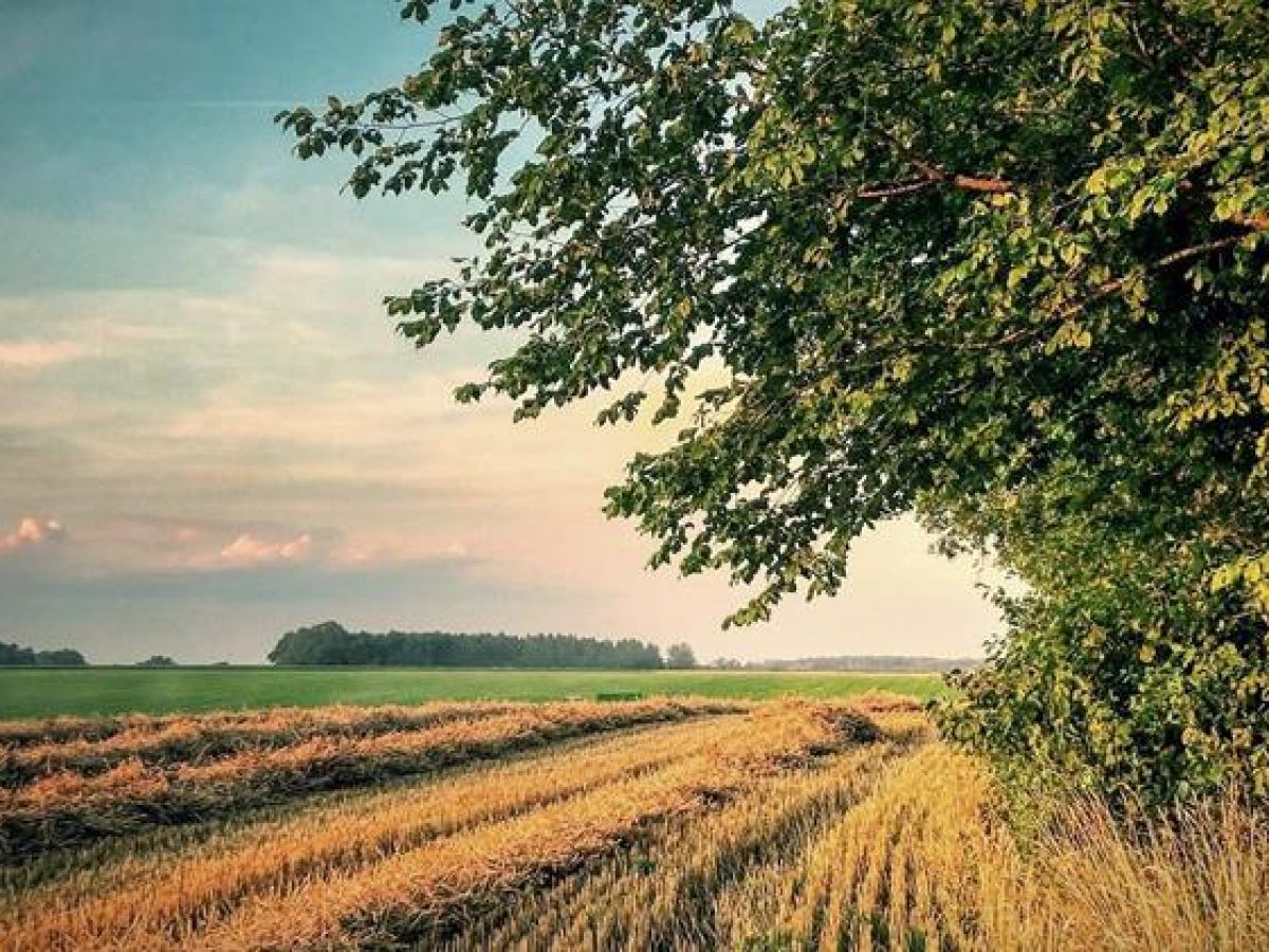 Τι αποκαλύπτει η ανασύνταξη του τομέα NAT στις Βρυξέλλες