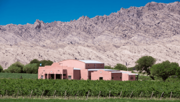 Το 80% της νομοθεσίας για το κρασί στην Αργεντινή καταργείται στο όνομα της ανταγωνιστικότητας