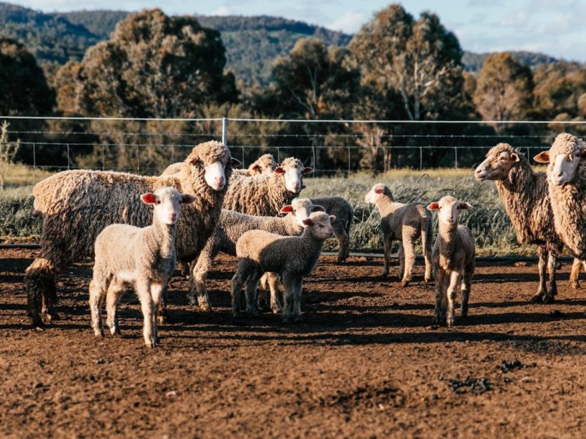 Ξεκίνησε να πληρώνεται και η εξισωτική αποζημίωση