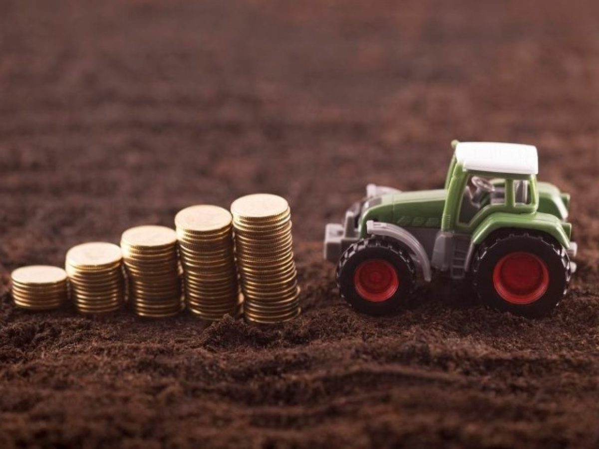 Ξεκινούν πληρωμές αγροτικών ενισχύσεων