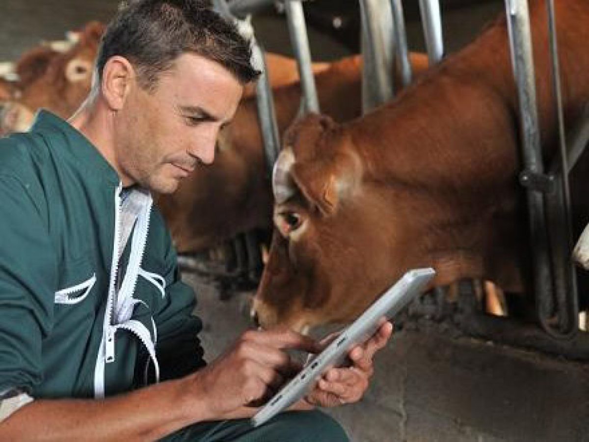 Άμεση έκδοση της ΚΥΑ για το ανθυγιεινό επίδομα ζητούν οι κτηνίατροι του ΥΠΑΑΤ