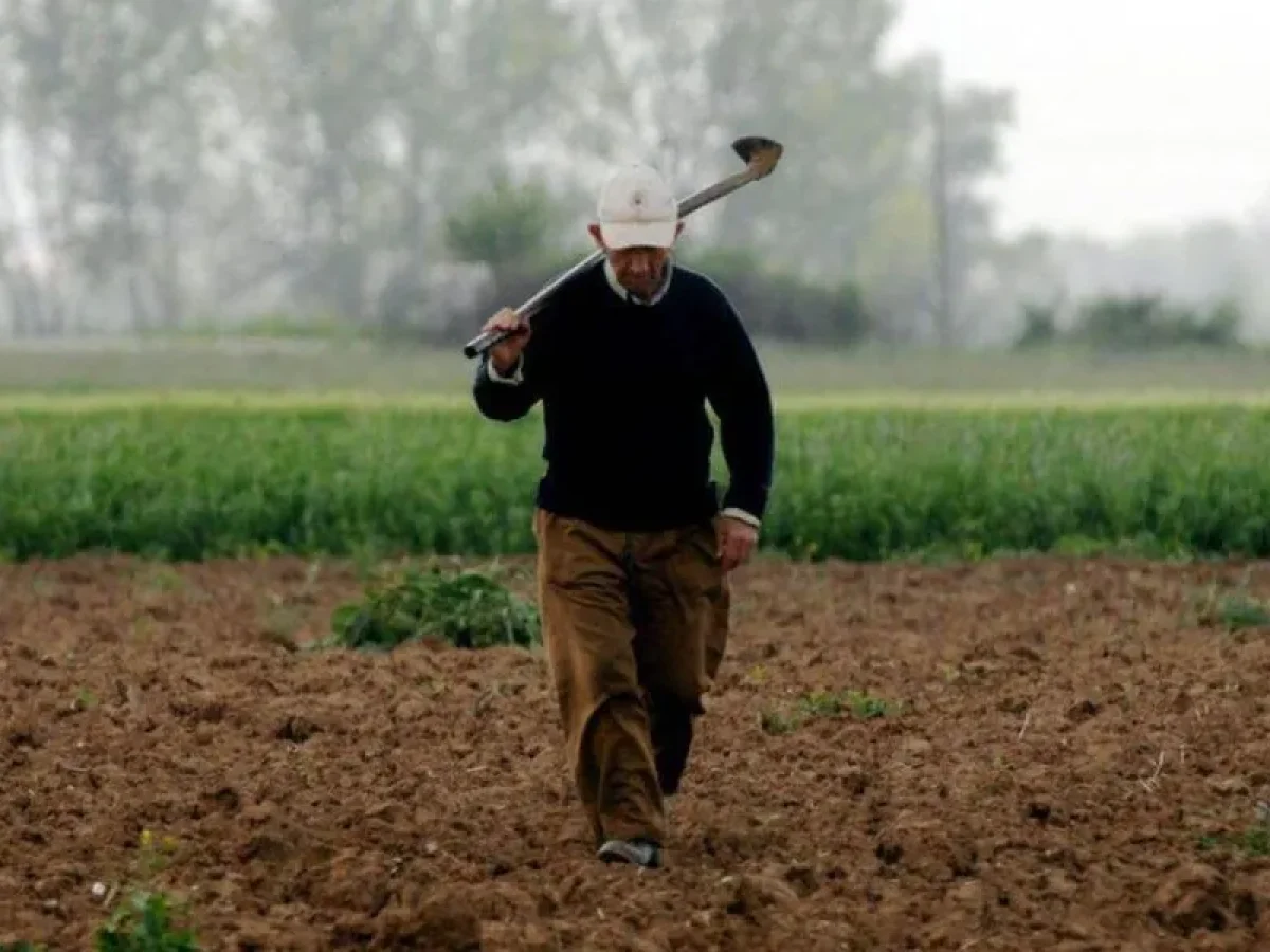 Αγρότες: Χριστούγεννα στα τρακτέρ με ανοιχτούς δρόμους – Κρίσιμη σύσκεψη το Σάββατο στη Νίκαια
