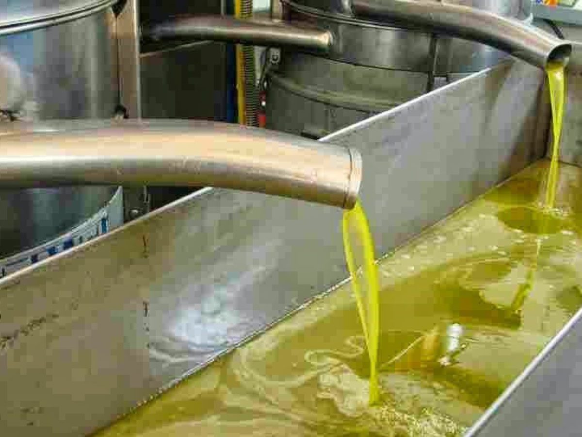 Ανοίγει η ψαλίδα Ιανουάριο στο ελαιόλαδο, εφικτά τα 6 ευρώ για τις τρεις γραμμές