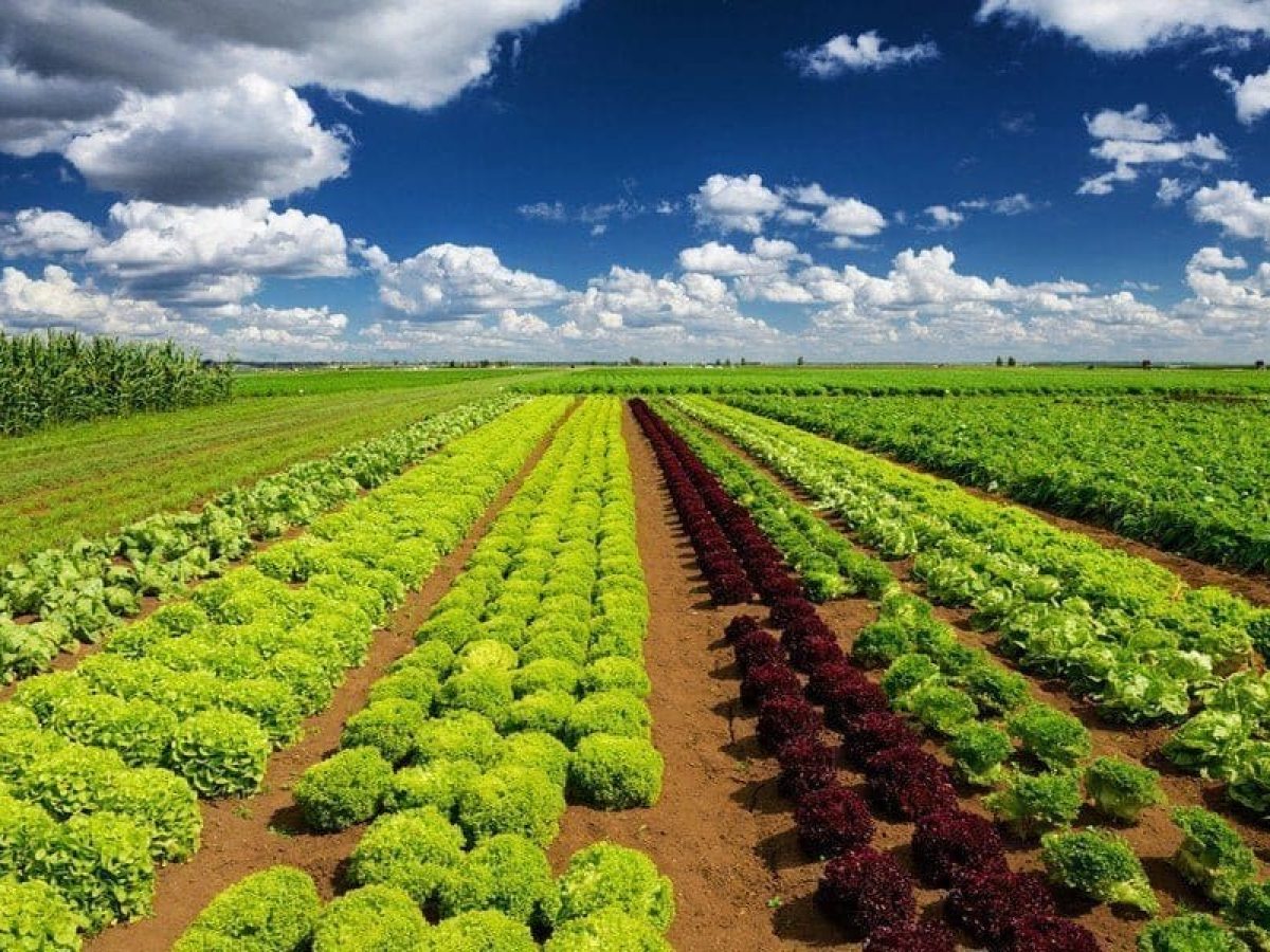 Αποκατάσταση αδικιών λόγω εκκρεμοτήτων στο Κτηματολόγιο