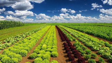 Αποκατάσταση αδικιών λόγω εκκρεμοτήτων στο Κτηματολόγιο