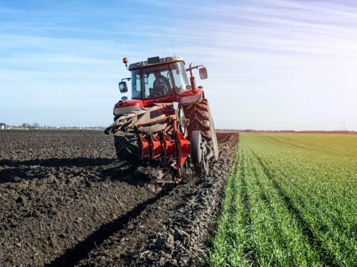 ΑΑΔΕ: Στον Εισαγγελέα οι πρώτες 50 μαζικές διαγραφές αγρών στο Ε9 – Λίστα με 3.000 «ιδιοκτήτες» για επιδοτήσεις ΟΠΕΚΕΠΕ