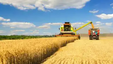 &Alpha;&nu;έ&beta;&eta;&kappa;&epsilon; &omicron; &delta;&epsilon;ί&kappa;&tau;&eta;&sigmaf; &tau;&iota;&mu;ώ&nu; FAO &gamma;&iota;&alpha; &tau;&omicron; &sigma;ύ&nu;&omicron;&lambda;&omicron; 2025 &pi;&alpha;&rho;ά &tau;&iota;&sigmaf; &mu;&epsilon;&iota;ώ&sigma;&epsilon;&iota;&sigmaf; &sigma;&tau;&omicron; &tau;έ&lambda;&omicron;&sigmaf;