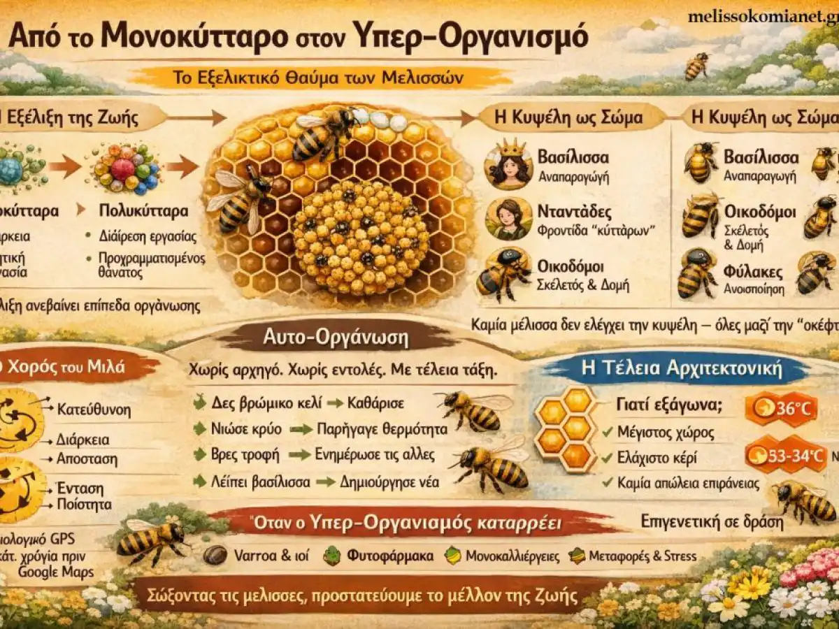 &Alpha;&pi;ό &tau;&omicron; &Mu;&omicron;&nu;&omicron;&kappa;ύ&tau;&tau;&alpha;&rho;&omicron; &sigma;&tau;&omicron; &Upsilon;&pi;&epsilon;&rho;-&omicron;&rho;&gamma;&alpha;&nu;&iota;&sigma;&mu;ό: &Tau;&omicron; &Epsilon;&xi;&epsilon;&lambda;&iota;&kappa;&tau;&iota;&kappa;ό &Theta;&alpha;ύ&mu;&alpha; &tau;&omega;&nu; &Mu;&epsilon;&lambda;&iota;&sigma;&sigma;ώ&nu;