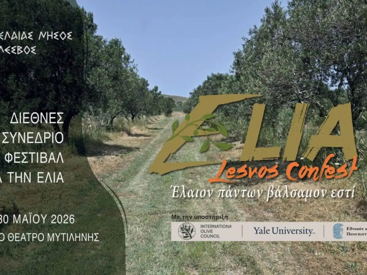 3&omicron; ELIA Lesvos Confest