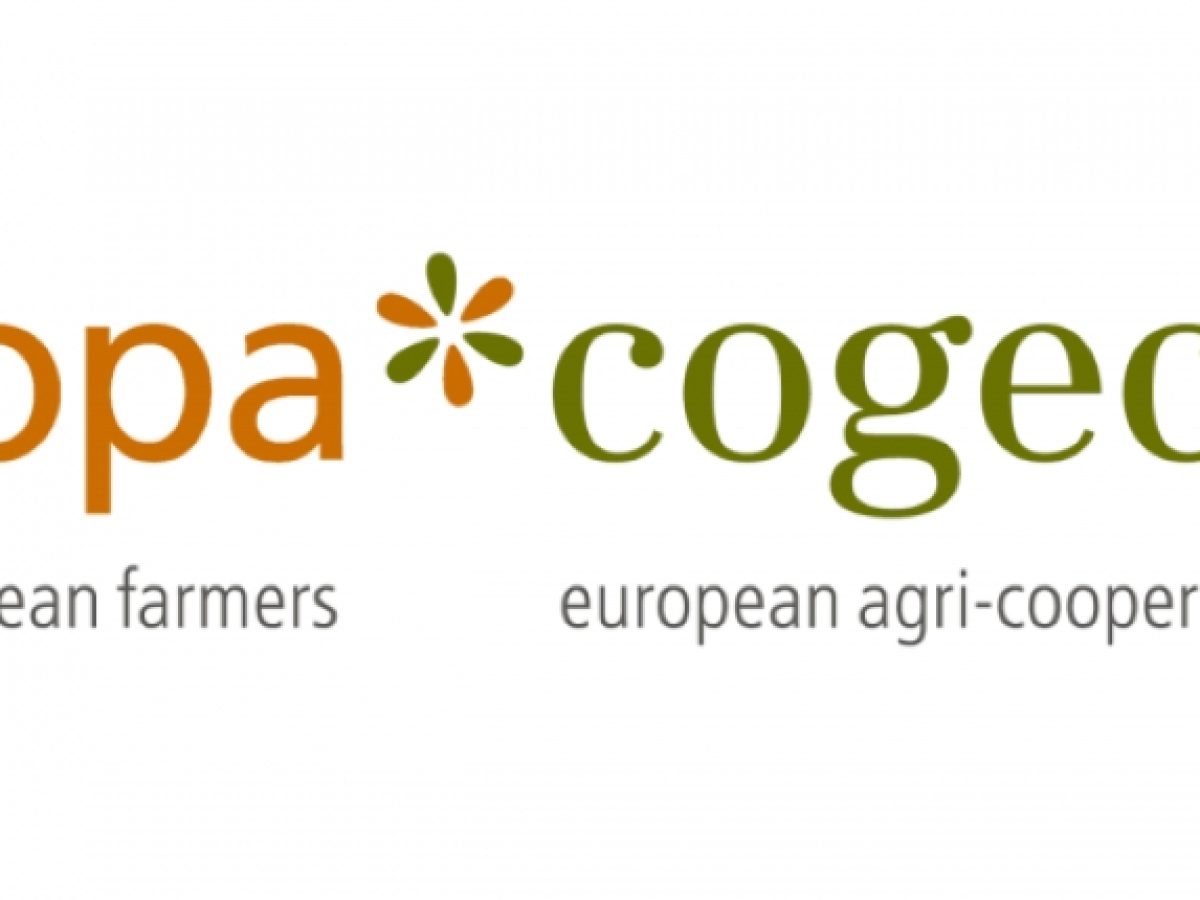 Mercosur: Συμφωνία με ρήγματα