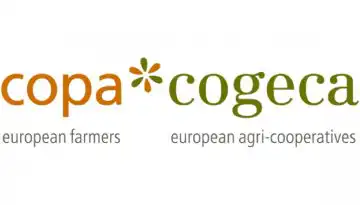Mercosur: &Sigma;&upsilon;&mu;&phi;&omega;&nu;ί&alpha; &mu;&epsilon; &rho;ή&gamma;&mu;&alpha;&tau;&alpha;