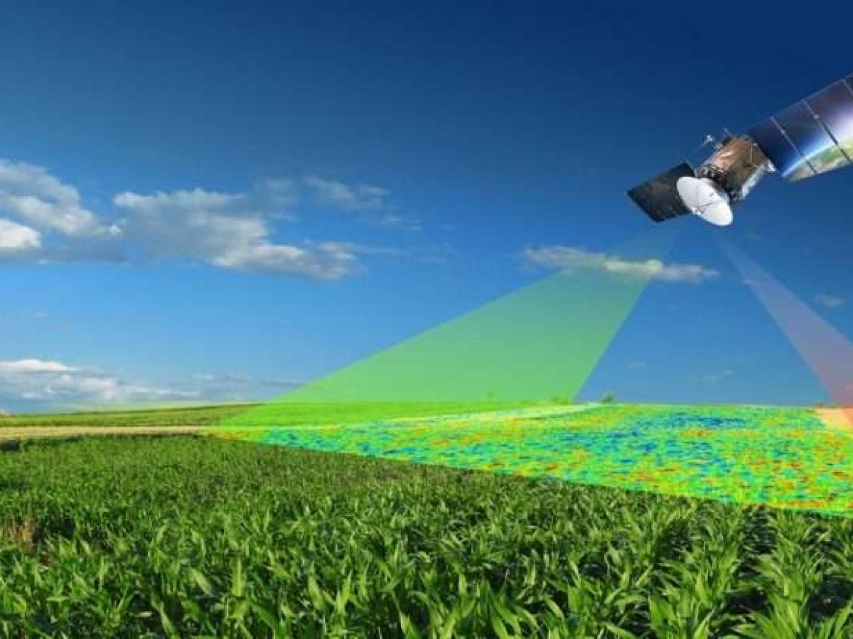 Monitoring: Χιλιάδες αγρότες απλήρωτοι και σε καθεστώς αβεβαιότητας