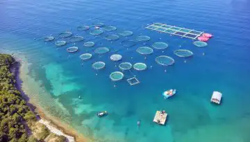 Select Organic: H &epsilon;&nu;ί&sigma;&chi;&upsilon;&sigma;&eta; &tau;&eta;&sigmaf; &beta;&iota;&omicron;&lambda;&omicron;&gamma;&iota;&kappa;ή&sigmaf; &upsilon;&delta;&alpha;&tau;&omicron;&kappa;&alpha;&lambda;&lambda;&iota;έ&rho;&gamma;&epsilon;&iota;&alpha;&sigmaf; &sigma;&tau;&omicron; &epsilon;&pi;ί&kappa;&epsilon;&nu;&tau;&rho;&omicron; &epsilon;&upsilon;&rho;&omega;&pi;&alpha;ϊ&kappa;&omicron;ύ έ&rho;&gamma;&omicron;&upsilon;