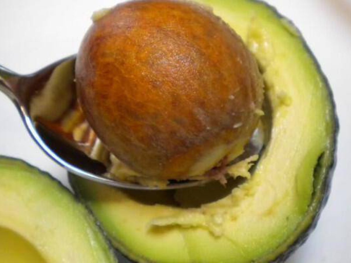 Χανιά: Όλα όσα πρέπει να ξέρετε για το αβοκάντο – Ανοικτή συζήτηση στο Επιμελητήριο