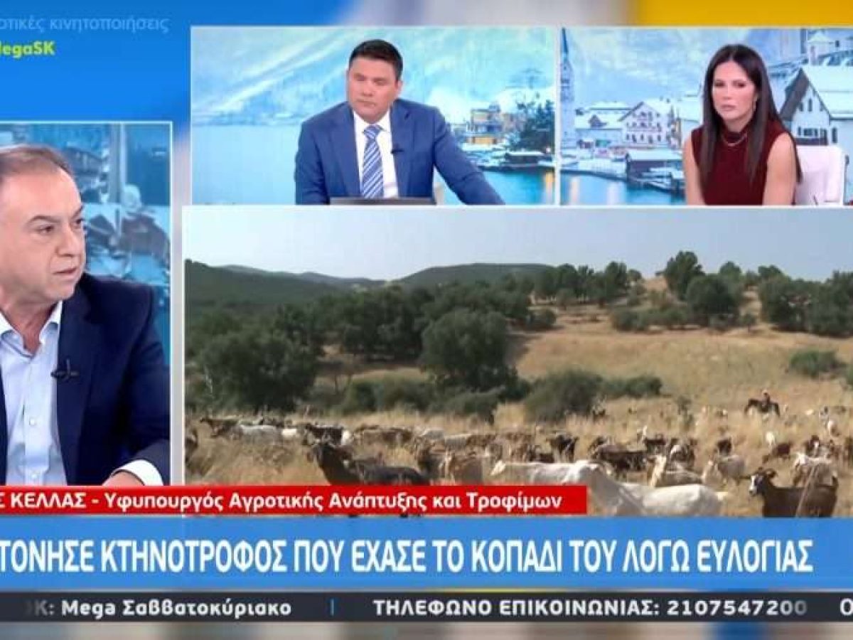 Δεν του θανατώθηκαν τα ζώα – Τι ξεκαθαρίζει ο Χρήστος Κέλλας για τον κτηνοτρόφο που βρέθηκε απαγχονισμένος στη Βροντού Πι