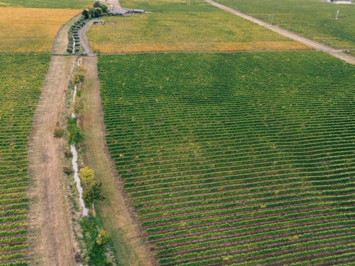 Διαθέσιμη η εξισωτική σε όλες τις τράπεζες, παράπονα για μειώσεις, Κομφούζιο, δασώσεις