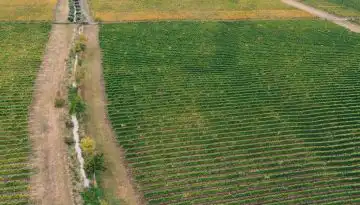 &Delta;&iota;&alpha;&theta;έ&sigma;&iota;&mu;&eta; &eta; &epsilon;&xi;&iota;&sigma;&omega;&tau;&iota;&kappa;ή &sigma;&epsilon; ό&lambda;&epsilon;&sigmaf; &tau;&iota;&sigmaf; &tau;&rho;ά&pi;&epsilon;&zeta;&epsilon;&sigmaf;, &pi;&alpha;&rho;ά&pi;&omicron;&nu;&alpha; &gamma;&iota;&alpha; &mu;&epsilon;&iota;ώ&sigma;&epsilon;&iota;&sigmaf;, &Kappa;&omicron;&mu;&phi;&omicron;ύ&zeta;&iota;&omicron;, &delta;&alpha;&sigma;ώ&sigma;&epsilon;&iota;&sigmaf;