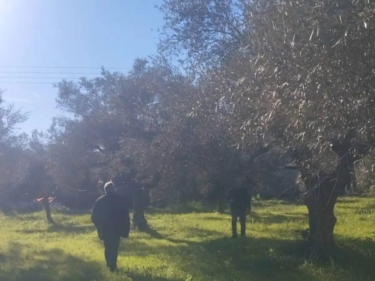 &Delta;ή&mu;&omicron;&sigmaf; &Sigma;&pi;ά&rho;&tau;&eta;&sigmaf;: &Xi;&epsilon;&kappa;&iota;&nu;&omicron;ύ&nu; &omicron;&iota; &delta;&eta;&lambda;ώ&sigma;&epsilon;&iota;&sigmaf; &zeta;&eta;&mu;&iota;ά&sigmaf; &alpha;&pi;ό &tau;&eta;&nu; &alpha;&nu;&epsilon;&mu;&omicron;&theta;ύ&epsilon;&lambda;&lambda;&alpha; &tau;&eta;&sigmaf; 10&eta;&sigmaf; &Iota;&alpha;&nu;&omicron;&upsilon;&alpha;&rho;ί&omicron;&upsilon;