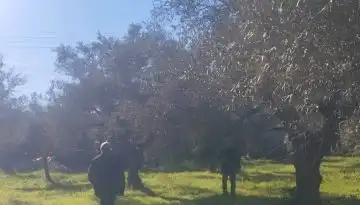 &Delta;ή&mu;&omicron;&sigmaf; &Sigma;&pi;ά&rho;&tau;&eta;&sigmaf;: &Xi;&epsilon;&kappa;&iota;&nu;&omicron;ύ&nu; &omicron;&iota; &delta;&eta;&lambda;ώ&sigma;&epsilon;&iota;&sigmaf; &zeta;&eta;&mu;&iota;ά&sigmaf; &alpha;&pi;ό &tau;&eta;&nu; &alpha;&nu;&epsilon;&mu;&omicron;&theta;ύ&epsilon;&lambda;&lambda;&alpha; &tau;&eta;&sigmaf; 10&eta;&sigmaf; &Iota;&alpha;&nu;&omicron;&upsilon;&alpha;&rho;ί&omicron;&upsilon;