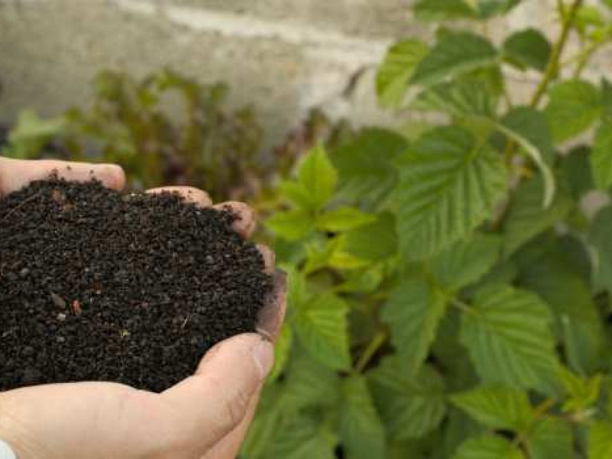 Φυτοπροστατευτικά προϊόντα: Γιατί “δεν πιάνουν πια τα φάρμακα” και τι μπορούμε να κάνουμε