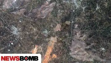&Delta;&omicron;&rho;&upsilon;&phi;ό&rho;&omicron;&iota; &kappa;&alpha;&iota; &Kappa;&tau;&eta;&mu;&alpha;&tau;&omicron;&lambda;ό&gamma;&iota;&omicron; &sigma;&tau;&eta;&nu; &upsilon;&pi;&eta;&rho;&epsilon;&sigma;ί&alpha; &tau;&omega;&nu; &alpha;&gamma;&rho;&omicron;&tau;ώ&nu;: &Pi;ώ&sigmaf; &theta;&omega;&rho;&alpha;&kappa;ί&zeta;&omicron;&nu;&tau;&alpha;&iota; &omicron;&iota; &pi;&rho;&alpha;&gamma;&mu;&alpha;&tau;&iota;&kappa;έ&sigmaf; &kappa;&alpha;&lambda;&lambda;&iota;έ&rho;&gamma;&epsilon;&iota;&epsilon;&sigmaf;