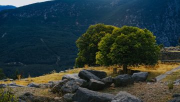 Έγκριση για το τομεακό πρόγραμμα Ανάπτυξης ύψους 30 εκατ. ευρώ