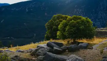 Έ&gamma;&kappa;&rho;&iota;&sigma;&eta; &gamma;&iota;&alpha; &tau;&omicron; &tau;&omicron;&mu;&epsilon;&alpha;&kappa;ό &pi;&rho;ό&gamma;&rho;&alpha;&mu;&mu;&alpha; &Alpha;&nu;ά&pi;&tau;&upsilon;&xi;&eta;&sigmaf; ύ&psi;&omicron;&upsilon;&sigmaf; 30 &epsilon;&kappa;&alpha;&tau;. &epsilon;&upsilon;&rho;ώ
