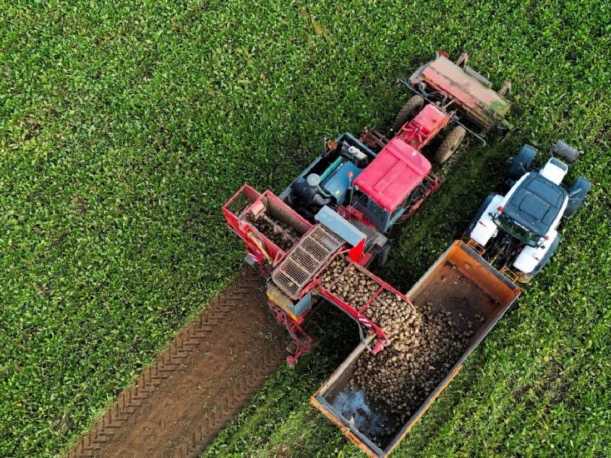 Έως 160 εκατ. ευρώ στους αγρότες και κτηνοτρόφους