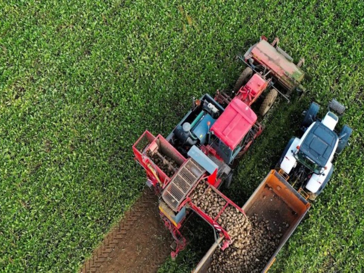 Έως 3,5 εκατ. ευρώ η χρηματοδότηση αγροτών και επιχειρήσεων από τα νέα εργαλεία της ΚΑΠ