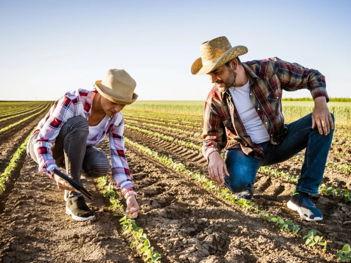 Επιλογή ασφαλιστικής κατηγορίας ΕΦΚΑ – Πλησιάζει η προθεσμία